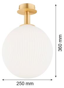 Argon 8505 - Plafoniera PALOMA 1xE27/15W/230V oro/bianco
