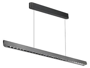 Lampadario LED su cavo LED/36W/230V 3000/4000/6400K antracite