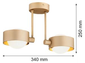 Argon 7215 - Lampadario da bagno a sospensione con supporto rigido MASSIMO PLUS 2xG9/6W/230V IP44 oro