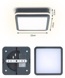 Brilagi - Lampada LED da esterno BENE LED/18W/230V 22x22 cm IP54