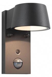 Paulmann 94714 - LED/6W IP44 Applique da esterno con sensore CAPERA 230V