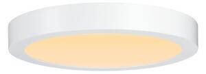 Paulmann 79799 - LED/19W Plafoniera CARPO 230V 2300/2500/3000K