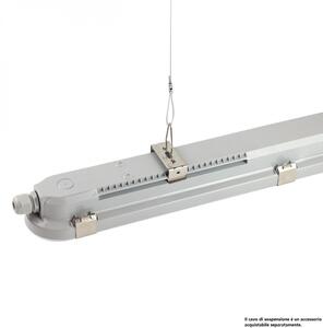 Lámpara LED técnica fluorescente 2xG13/18W/230V IP65