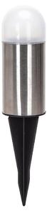 Aigostar - Lampada solare LED LED/0,006W/1,2V 20cm cromo 6500K IP44