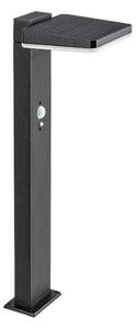 Rabalux 77079 - Lampada solare LED esterna LASSET LED/4,4W/3,7V IP54 antracite