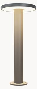 Lampada da giardino a LED Wald