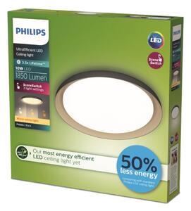 Philips - Plafoniera LED dimmerabile PEBBLO LED/10W/230V 2700K nero