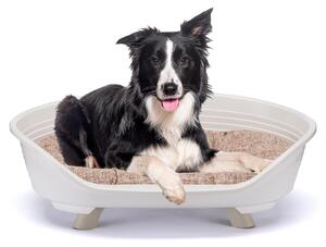 Cuccia per cani e gatti Ferplast con cuscino in cotone, cuccia rialzata per cani, taglia media