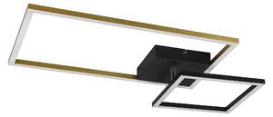 Plafoniera LED Reality Padella, nera, dorata, con interruttore dimmer, orientabile