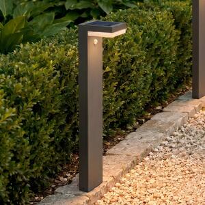 Lindby lampione a LED solare Chioma, antracite, sensore Chioma, Alluminio / Grigio / Zincato, Acciaio Inox, Moderno, Lampade solari