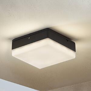 Lucande Plafoniera LED Thilo, 16 cm, antracite, sensore, IP54 Thilo, Plastica, Moderno, Plafoniere LED