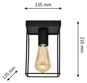 Plafoniera FINN 1xE27/15W/230V nero