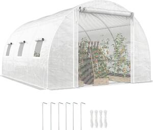 Serra in plastica Outsunny, circa 3x4x2 m, resistente all'inverno, ideale per la coltivazione dei pomodori