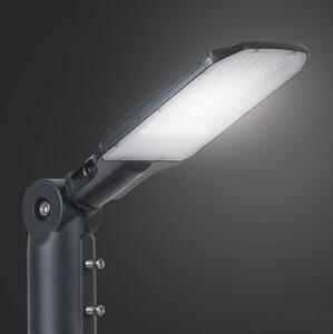 Brilagi - Lampione stradale LED da esterno URBANLIGHT LED/50W/230V antracite IP65