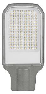 Brilagi - Lampione stradale LED da esterno URBANLIGHT LED/50W/230V grigio IP65