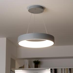 Brilagi - Lampadario LED dimmerabile a sospensione con cavo LED/40W/230V 3000-6500K grigio + telecomando