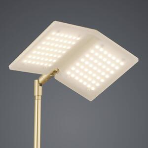 BANKAMP Book piantana LED ottone