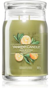 Yankee Candle Sage & Citrus candela profumata Signature 567 g