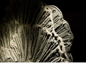 Tappeto Botanica Grigio Floreale 200x200 cm