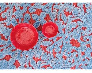 Tappeto Damasco Azzurro Corallo Floreale 170x240 cm