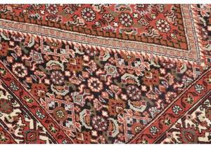 Tappeto Bidjar Stilizzato Rosso Mattone Avorio 110x166 Cm