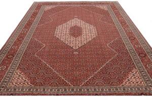 Tappeto Sarab Fine Stilizzato Rosso Mattone Avorio 265x355 Cm