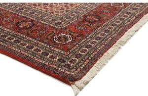 Tappeto Sarab Fine Stilizzato Rosso Mattone Avorio 265x355 Cm