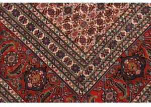 Tappeto Sarab Fine Stilizzato Rosso Mattone Avorio 265x355 Cm