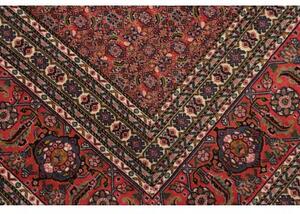 Tappeto Sarab Fine Stilizzato Rosso Mattone Avorio 265x370 Cm