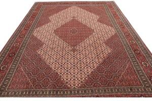 Tappeto Sarab Fine Stilizzato Rosso Mattone Avorio 265x370 Cm