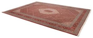 Tappeto Sarab Fine Stilizzato Rosso Mattone Avorio 265x355 Cm