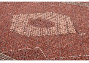 Tappeto Sarab Fine Stilizzato Rosso Mattone Avorio 265x355 Cm