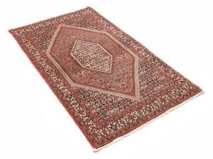 Tappeto Bidjar Stilizzato Rosso Mattone Avorio 110x166 Cm