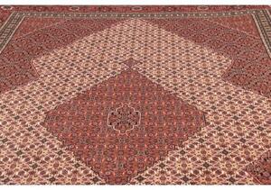 Tappeto Sarab Fine Stilizzato Rosso Mattone Avorio 265x370 Cm