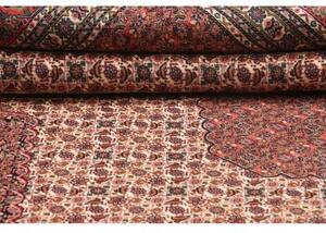 Tappeto Sarab Fine Stilizzato Rosso Mattone Avorio 265x370 Cm