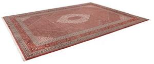 Tappeto Sarab Fine Stilizzato Rosso Mattone Avorio 265x355 Cm