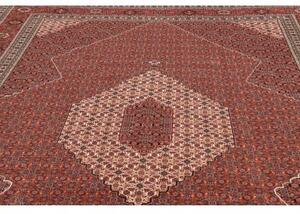 Tappeto Sarab Fine Stilizzato Rosso Mattone Avorio 265x355 Cm