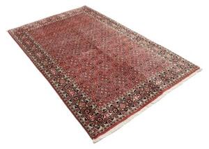 Tappeto Bidjar Stilizzato Rosso Ruggine Blu Scuro 130x205 Cm