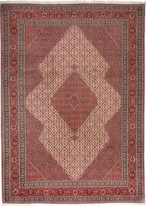 Tappeto Sarab Fine Stilizzato Rosso Mattone Avorio 265x370 Cm
