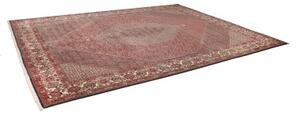 Tappeto Bidjar Stilizzato Rosso Ruggine Avorio 296x390 Cm