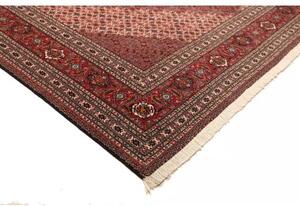 Tappeto Sarab Fine Stilizzato Rosso Mattone Beige 270x370 Cm