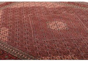 Tappeto Sarab Fine Stilizzato Rosso Mattone Beige 270x370 Cm