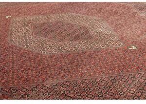 Tappeto Bidjar Stilizzato Rosso Ruggine Avorio 296x390 Cm