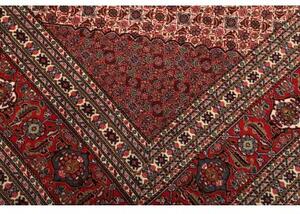 Tappeto Sarab Fine Stilizzato Rosso Mattone Beige 270x370 Cm