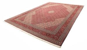 Tappeto Sarab Fine Stilizzato Rosso Mattone Beige 270x370 Cm