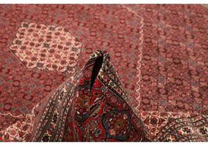 Tappeto Sarab Fine Stilizzato Rosso Mattone Beige 270x370 Cm