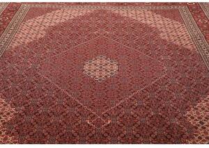 Tappeto Sarab Fine Stilizzato Rosso Mattone Beige 270x370 Cm