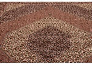 Tappeto Bidjar Con Seta Stilizzato Rosso Ruggine Beige 256x355 Cm