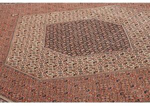 Tappeto Bidjar Con Seta Stilizzato Rosso Ruggine Beige 256x355 Cm