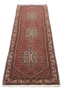 Tappeto Bidjar Stilizzato Rosso Mattone Avorio Corsia 68x209 Cm